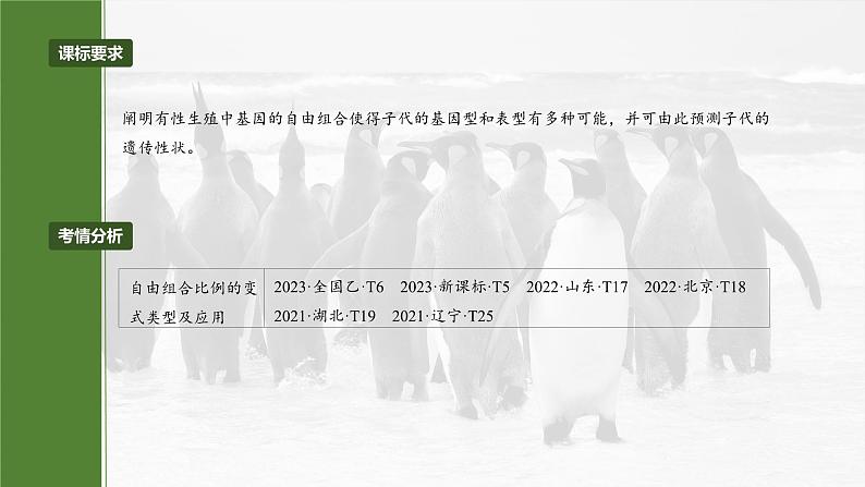 2025年高考生物一轮复习课件（新人教版） 第5单元　专题突破6　自由组合定律中的特殊分离比第2页