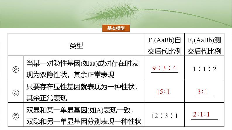 2025年高考生物一轮复习课件（新人教版） 第5单元　专题突破6　自由组合定律中的特殊分离比第4页