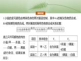 2025年高考生物一轮复习课件（新人教版） 第5单元　专题突破6　自由组合定律中的特殊分离比