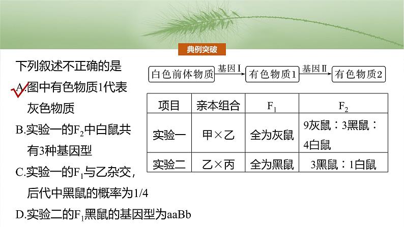 2025年高考生物一轮复习课件（新人教版） 第5单元　专题突破6　自由组合定律中的特殊分离比第6页