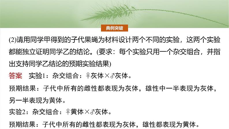 2025年高考生物一轮复习课件（新人教版） 第5单元　专题突破8　基因在性染色体上的位置判断第8页