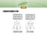 2025年高考生物一轮复习课件（新人教版） 第5单元　第25课时　分离定律的概率计算和常规应用