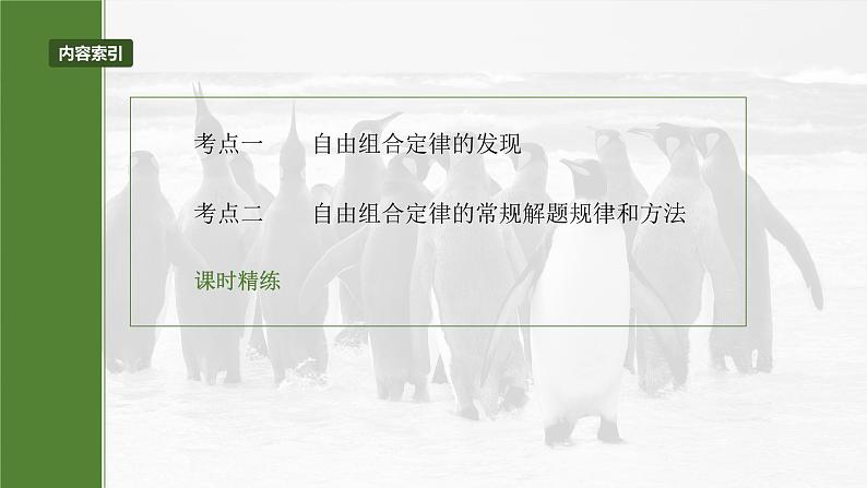 2025年高考生物一轮复习课件（新人教版） 第5单元　第26课时　自由组合定律第3页