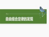 2025年高考生物一轮复习课件（新人教版） 第5单元　第26课时　自由组合定律