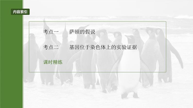 2025年高考生物一轮复习课件（新人教版） 第5单元　第27课时　基因在染色体上03