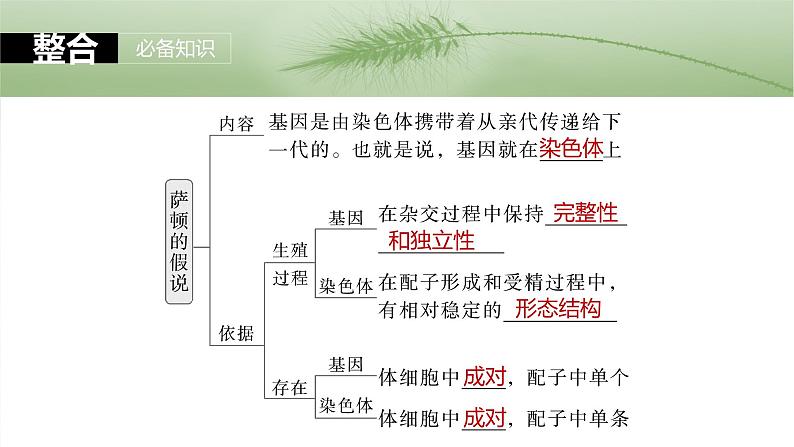 2025年高考生物一轮复习课件（新人教版） 第5单元　第27课时　基因在染色体上05