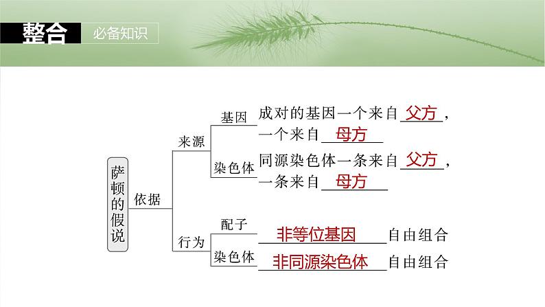 2025年高考生物一轮复习课件（新人教版） 第5单元　第27课时　基因在染色体上06