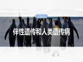 2025年高考生物一轮复习课件（新人教版） 第5单元　第28课时　伴性遗传和人类遗传病