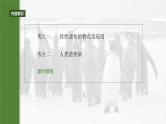 2025年高考生物一轮复习课件（新人教版） 第5单元　第28课时　伴性遗传和人类遗传病