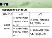 2025年高考生物一轮复习课件（新人教版） 第5单元　第28课时　伴性遗传和人类遗传病