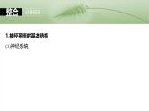 2025年高考生物一轮复习课件（新人教版） 第8单元　第37课时　神经调节的结构基础和基本方式