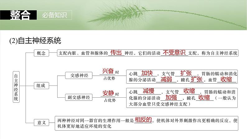 2025年高考生物一轮复习课件（新人教版） 第8单元　第37课时　神经调节的结构基础和基本方式第7页