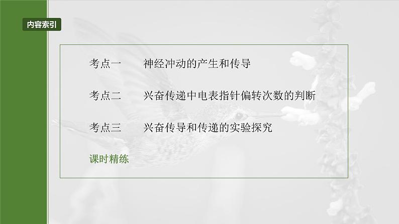 2025年高考生物一轮复习课件（新人教版） 第8单元　第38课时　神经冲动的产生和传导第3页