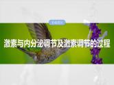 2025年高考生物一轮复习课件（新人教版） 第8单元　第40课时　激素与内分泌调节及激素调节的过程
