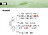 2025年高考生物一轮复习课件（新人教版） 第8单元　第40课时　激素与内分泌调节及激素调节的过程