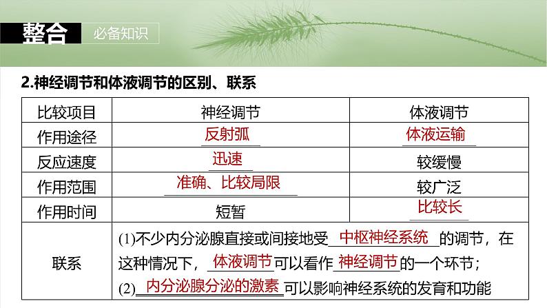 2025年高考生物一轮复习课件（新人教版） 第8单元　第41课时　体液调节与神经调节的关系第6页