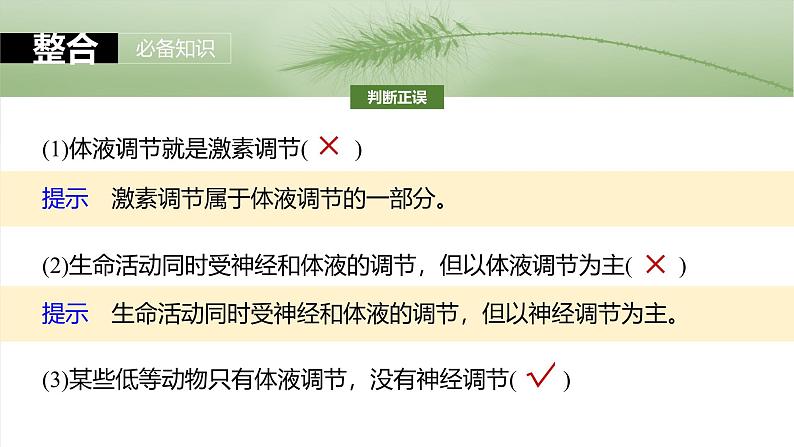 2025年高考生物一轮复习课件（新人教版） 第8单元　第41课时　体液调节与神经调节的关系第8页