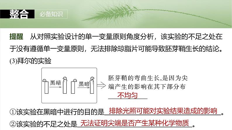 2025年高考生物一轮复习课件（新人教版） 第8单元　第44课时　植物生长素07