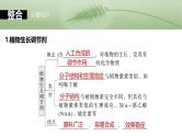2025年高考生物一轮复习课件（新人教版） 第8单元　第46课时　植物生长调节剂的应用及环境因素参与调节植物的生命活动