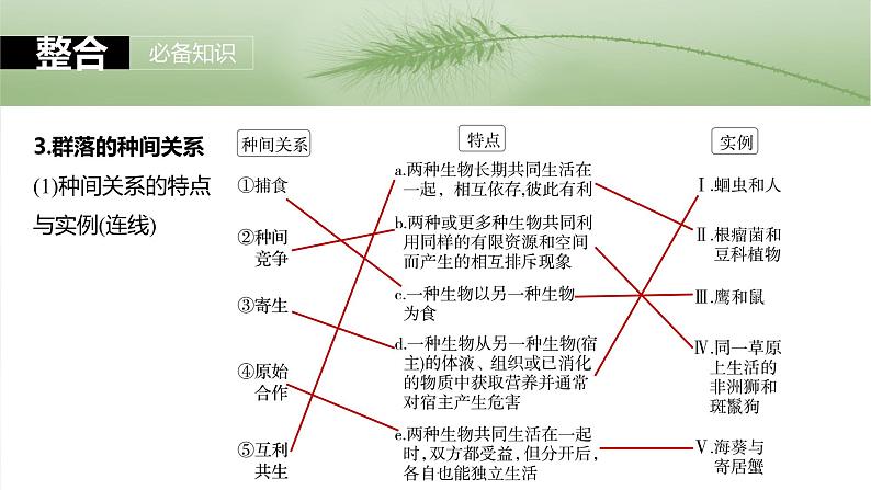 2025年高考生物一轮复习课件（新人教版） 第9单元　第49课时　群落的结构第8页