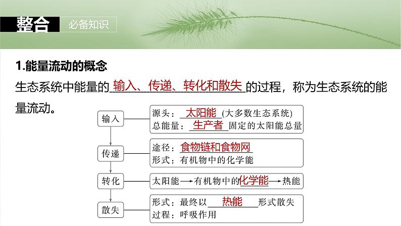 2025年高考生物一轮复习课件（新人教版） 第9单元　第52课时　生态系统的能量流动05