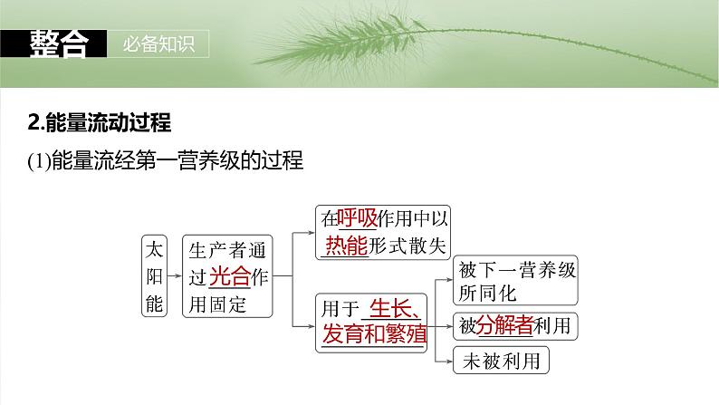 2025年高考生物一轮复习课件（新人教版） 第9单元　第52课时　生态系统的能量流动06