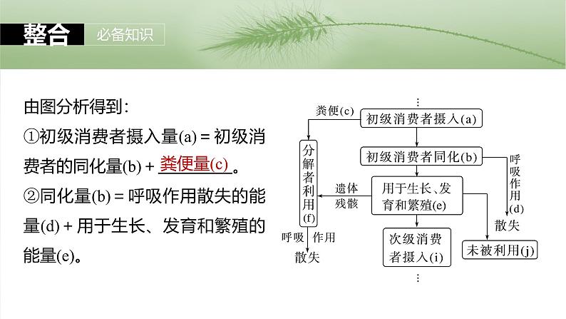 2025年高考生物一轮复习课件（新人教版） 第9单元　第52课时　生态系统的能量流动08