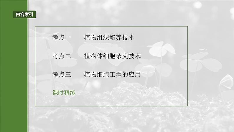 2025年高考生物一轮复习课件（新人教版） 第10单元　第58课时　植物细胞工程第3页