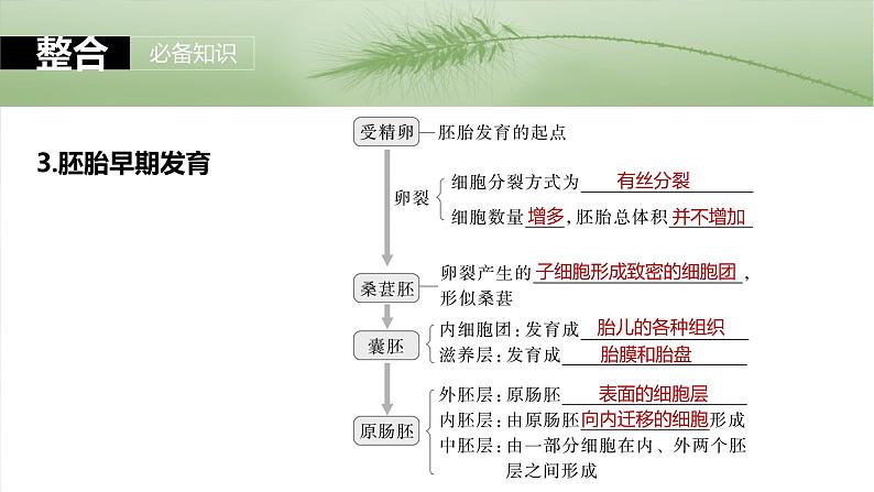 2025年高考生物一轮复习课件（新人教版） 第10单元　第60课时　胚胎工程第8页