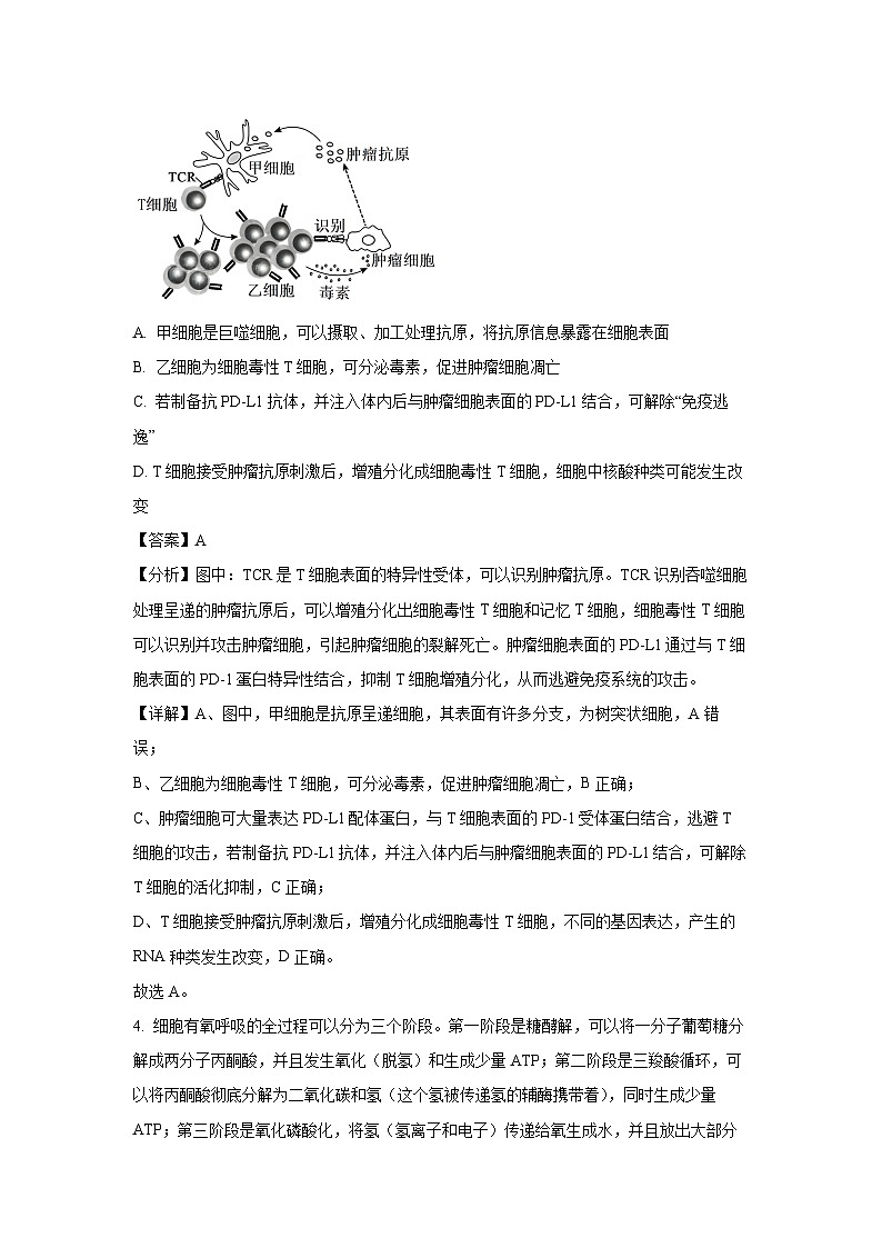 2024届黑龙江省部分学校高三冲刺卷(五)生物试卷(解析版)第3页