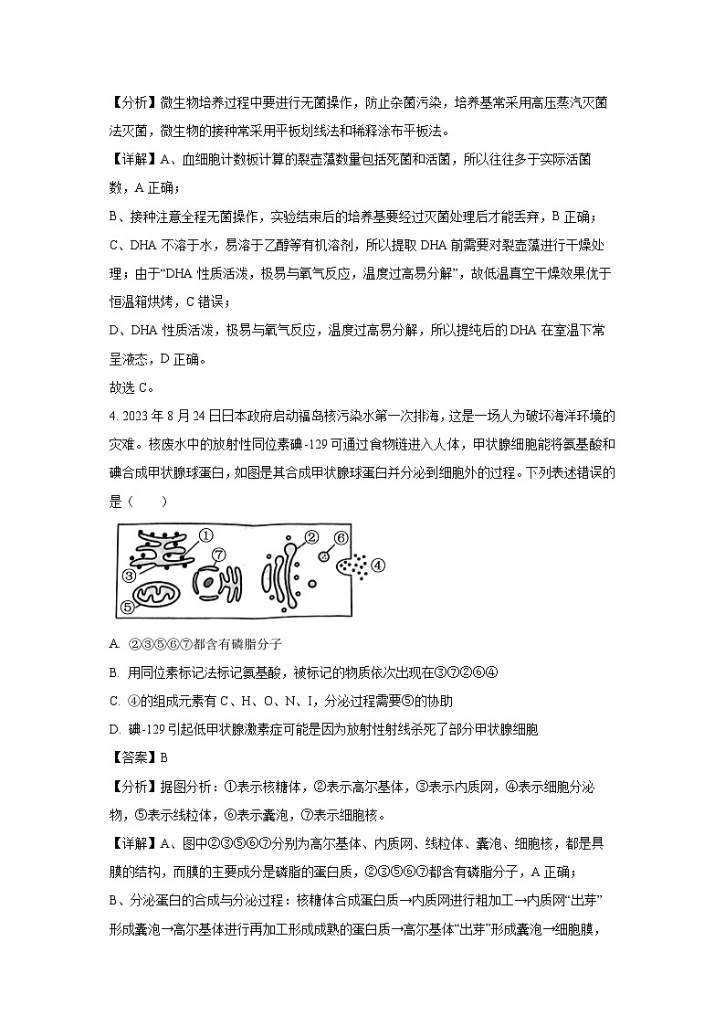2024届吉林省吉林市普通高中高三第四次模拟考试生物试卷(解析版)第3页