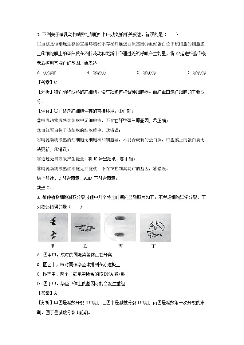 2024届吉林省长春市高三质量监测(四)生物试卷(解析版)02
