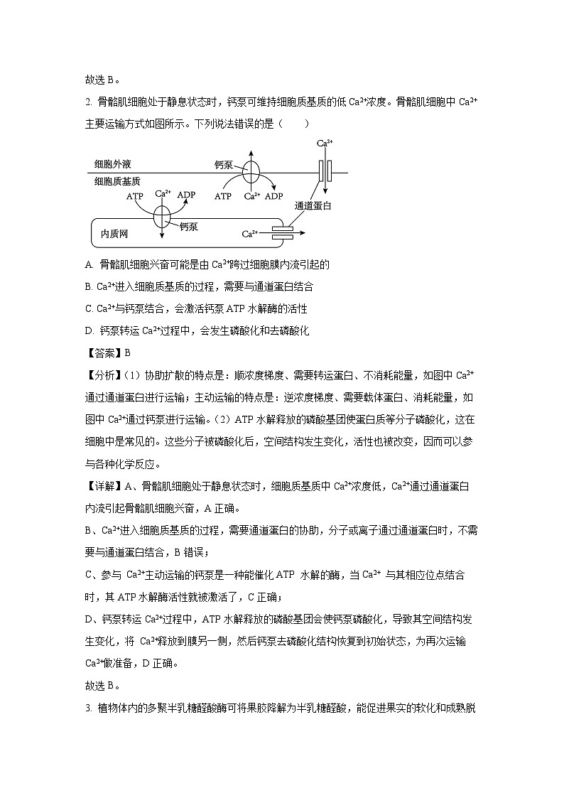 2024届山东省聊城市高三三模生物试卷(解析版)第2页