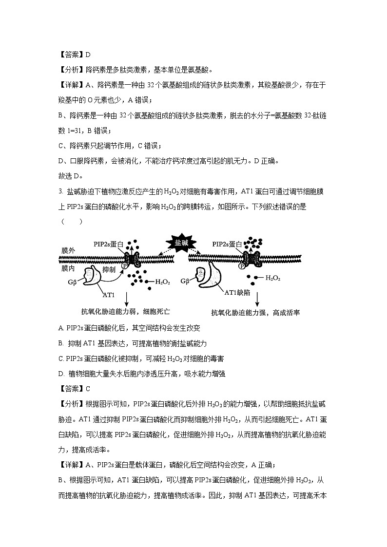 2024年湖北省新高考协作体高考一模生物试卷(解析版)02