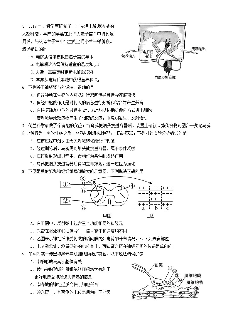 2023~2024学年广东广州黄埔区广州市第二中学高二上学期期中生物试卷第2页