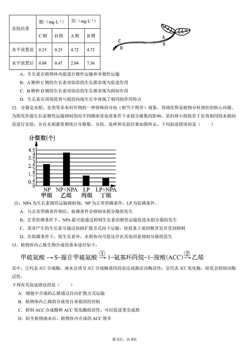 邯郸市三龙育华中学24-25学年第一学期高二第二次月考生物试卷第3页