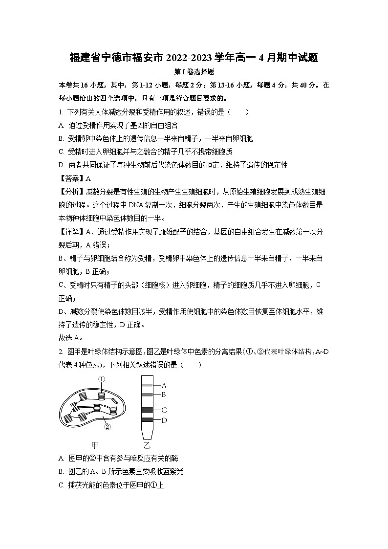 福建省宁德市福安市2022-2023学年高一下学期4月期中生物试卷(解析版)第1页