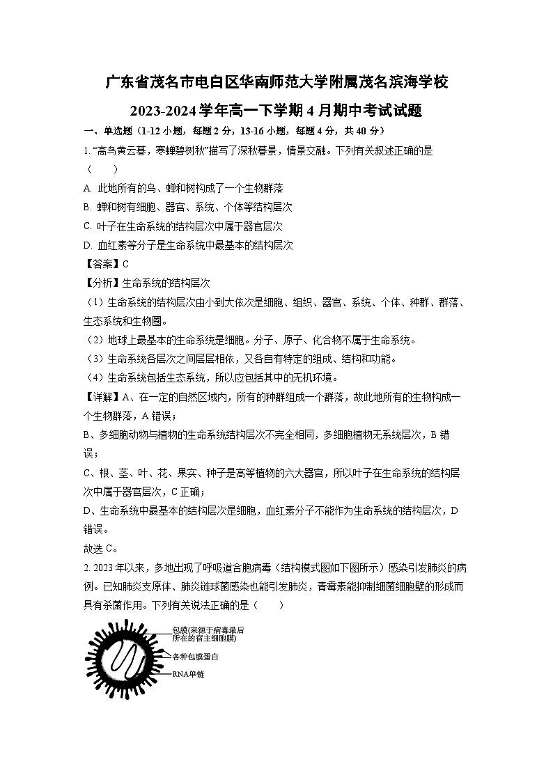 广东省茂名市电白区华南师范大学附属茂名滨海学校2023-2024学年高一下学期4月期中考试生物试卷(解析版)01