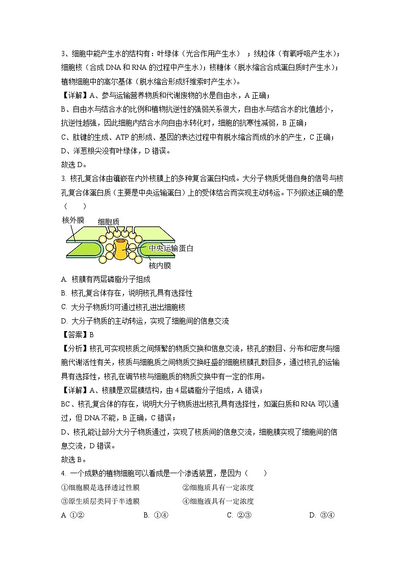 广西南宁市马山县第三高级中学2023-2024学年高一下学期期中考试生物试卷(解析版)第2页