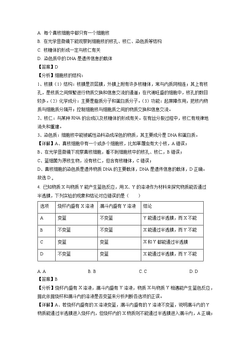 广西南宁市马山县周鹿中学2023-2024学年高一下学期期中考试生物试卷(解析版)第2页