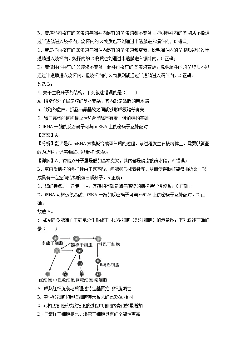 广西南宁市马山县周鹿中学2023-2024学年高一下学期期中考试生物试卷(解析版)第3页