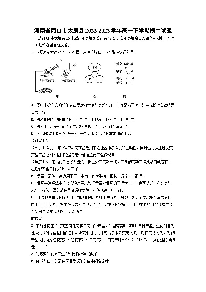 河南省周口市太康县2022-2023学年高一下学期期中生物试卷(解析版)第1页