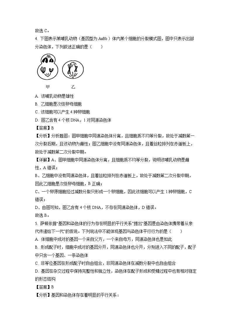 河南省周口市太康县2022-2023学年高一下学期期中生物试卷(解析版)第3页