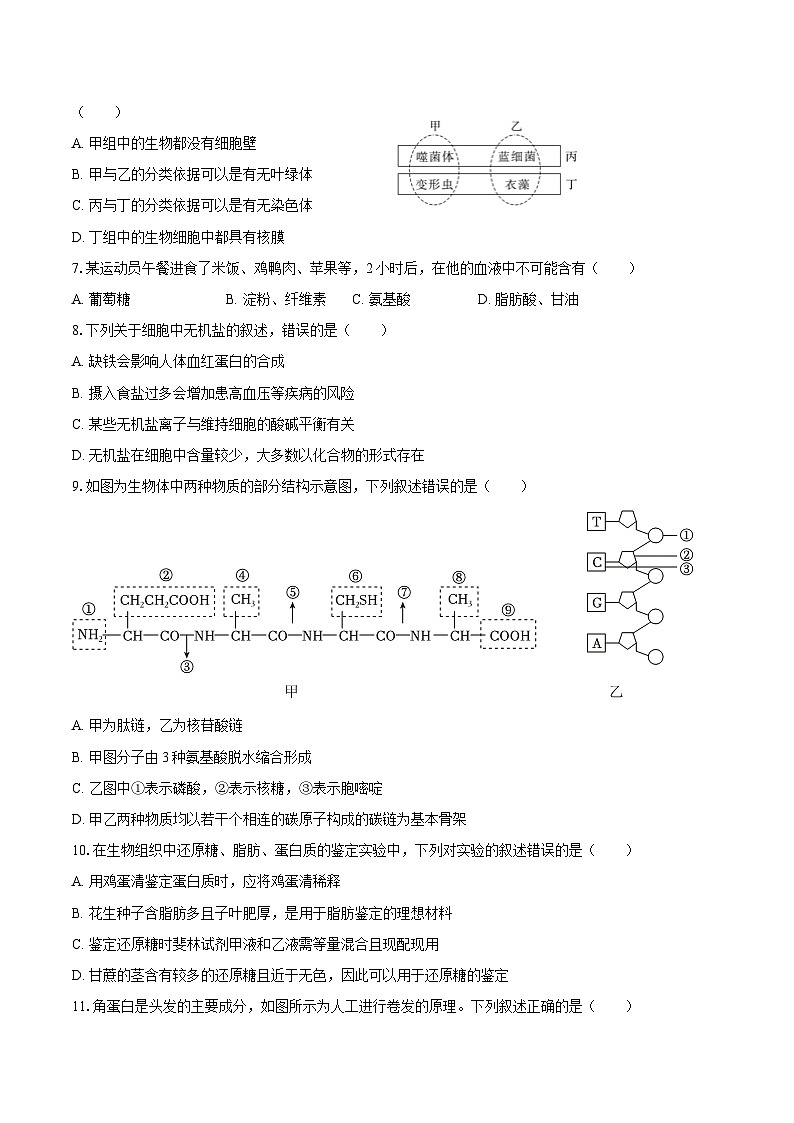 2024-2025学年福建省泉州市南安市侨光中学高一（上）月考生物学试卷（10月份）（含答案）第2页