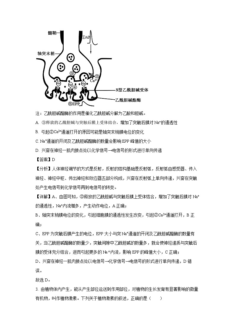 陕西省安康市2023-2024学年高二下学期期末质量联考生物试卷(解析版)02