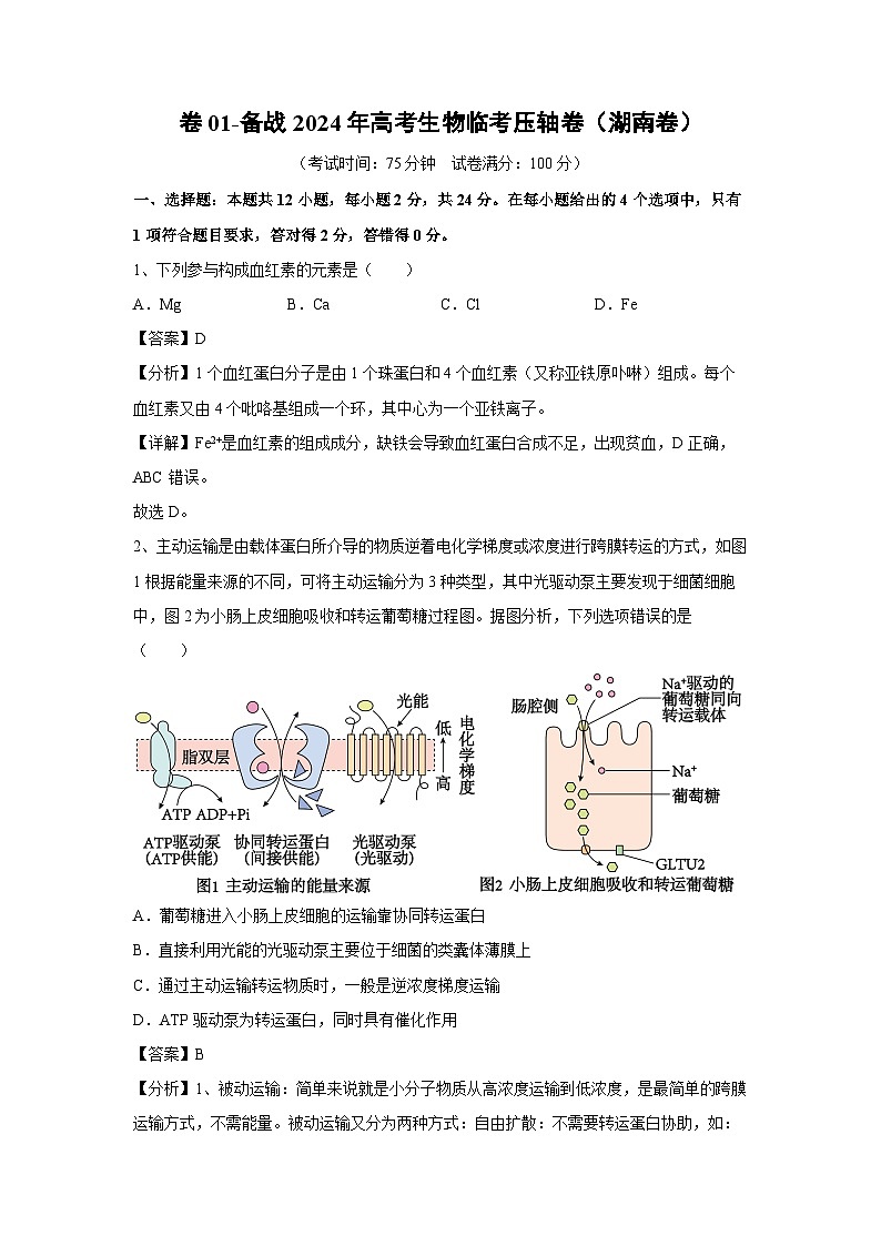卷01-备战2024年高考生物临考压轴卷(湖南卷)生物试卷(解析版)第1页