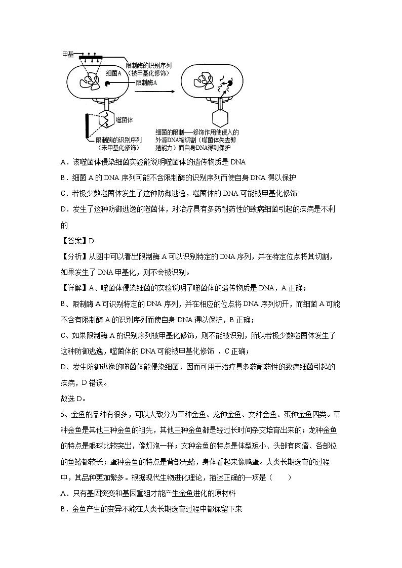 卷01-备战2024年高考生物临考压轴卷(湖南卷)生物试卷(解析版)第3页