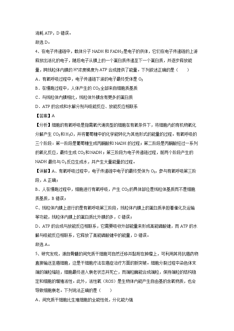 卷01-备战2024年高考生物临考压轴卷(海南卷)生物试卷(解析版)第3页