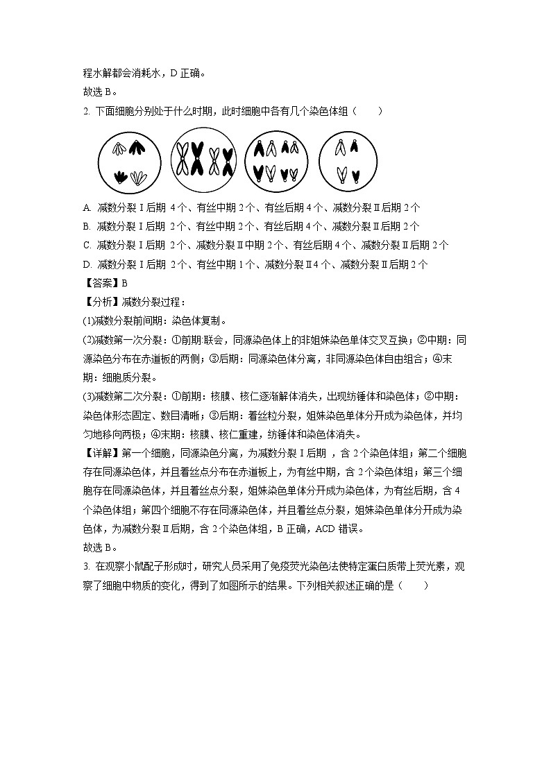 江西省宜春市丰城市九中(日新班)2022-2023学年高一下学期期末生物试卷(解析版)第2页