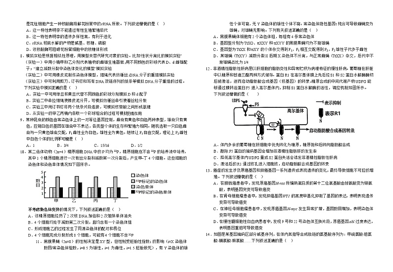 安徽省六安市金安区安徽省六安第一中学2024-2025学年高三上学期11月月考生物试题第2页